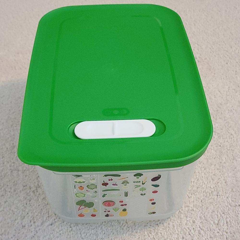 Tupperware FridgeSmart Medium Deep
